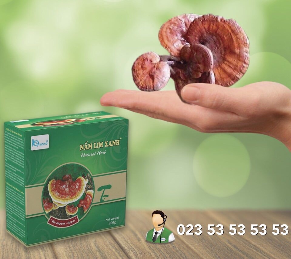 Nấm lim xanh thái lát 500 gram