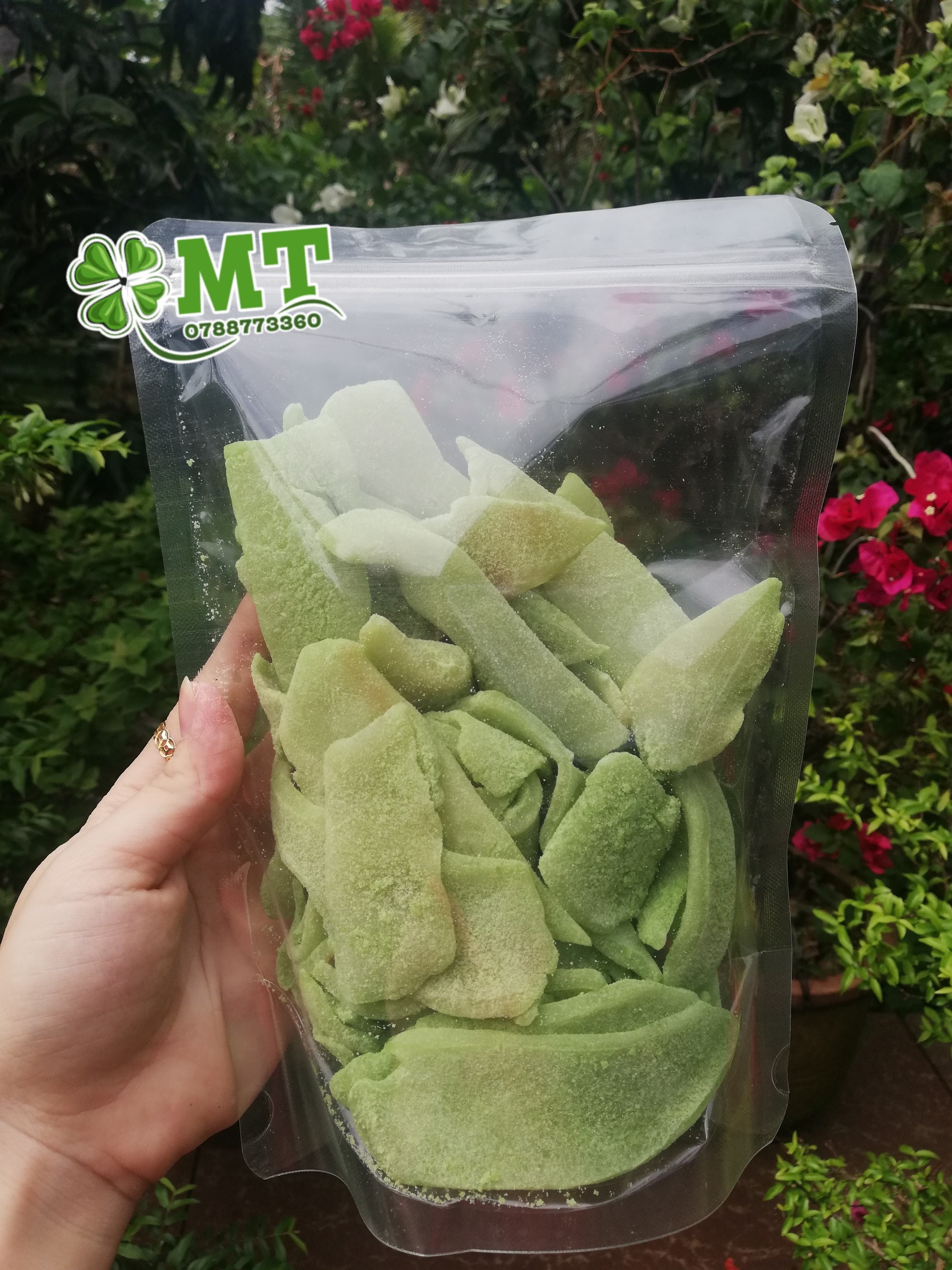 Mứt dừa non miếng màu lá dứa KL: 500g ( Đặc Sản Bến Tre)