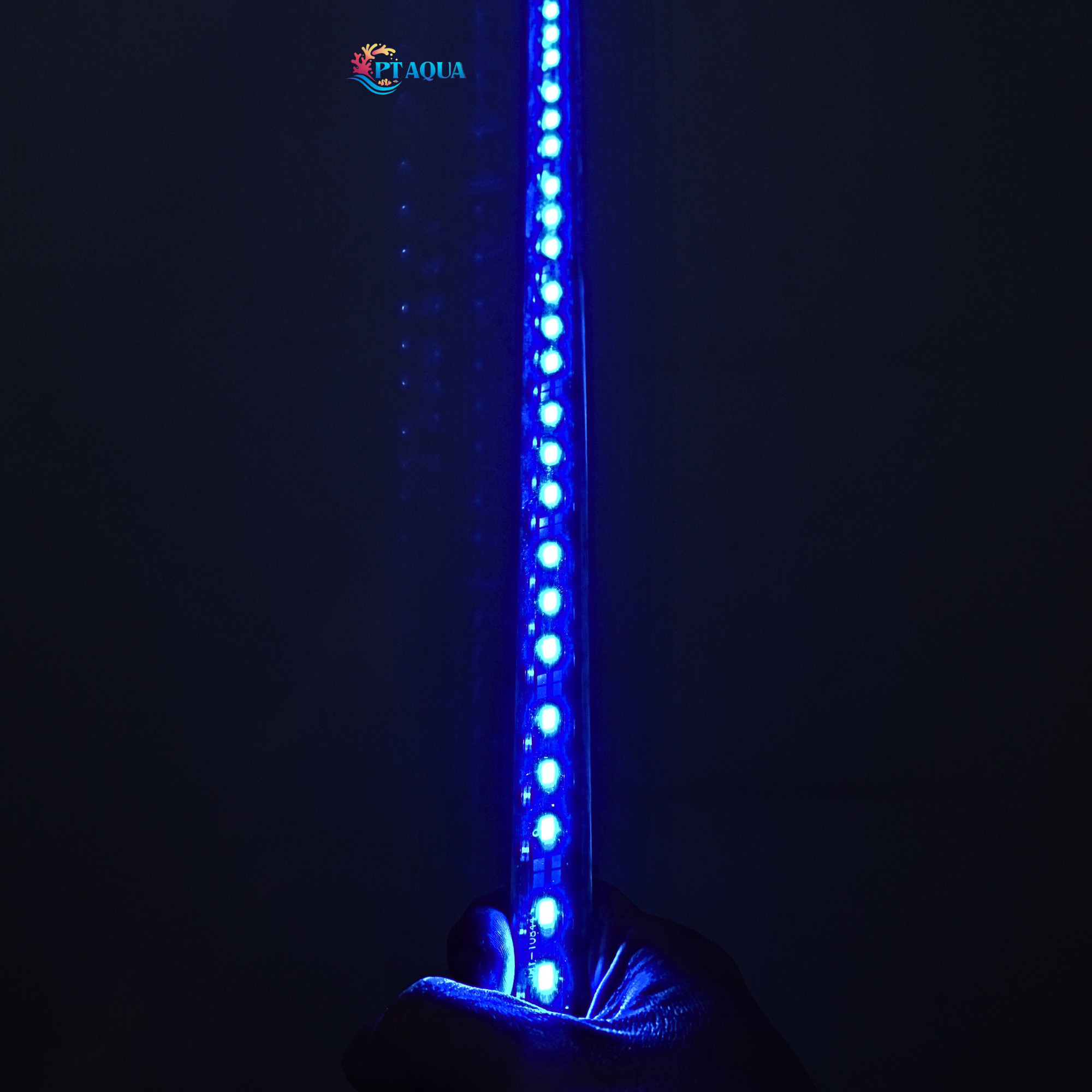 Đèn bể cá Blue xanh biển dành cho hồ cá cảnh