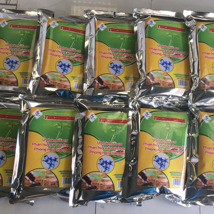 [1 Kg] NẤM TRICHODERMA 5 Chủng Nấm: Ủ Phân Hữu Cơ, Cải Tạo Đất, Phòng Nấm Bệnh Hiệu Quả