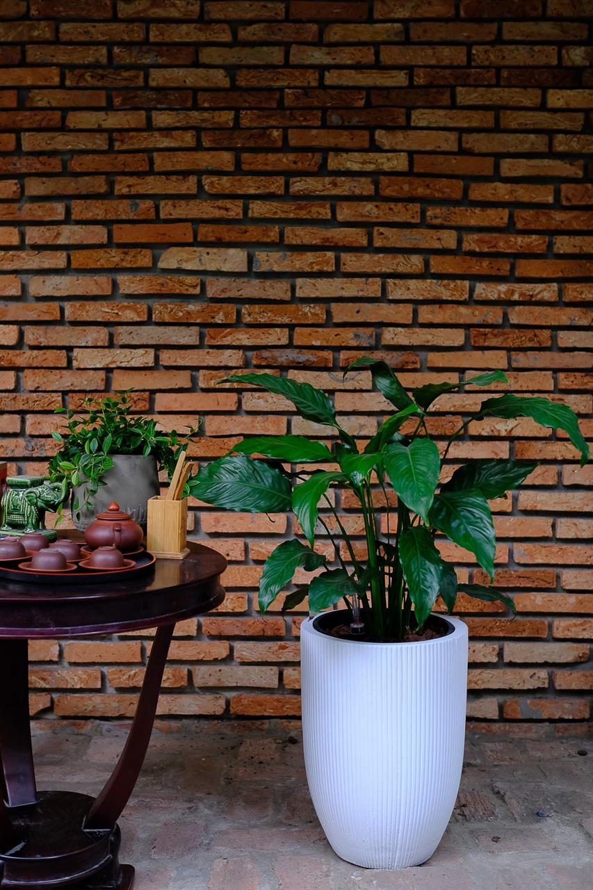 Chậu Trồng Cây Xi Măng Đá Mài Viên Đạn  | 30cm