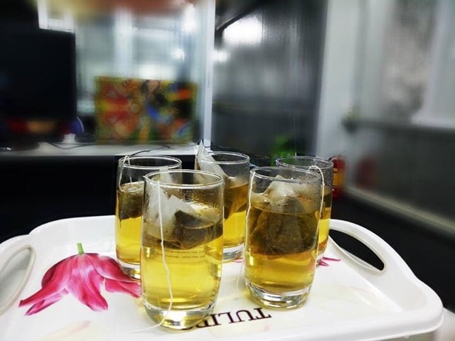 Combo 2 bịch trà túi lọc cà gai leo Sadu  gồm 100 túi lọc