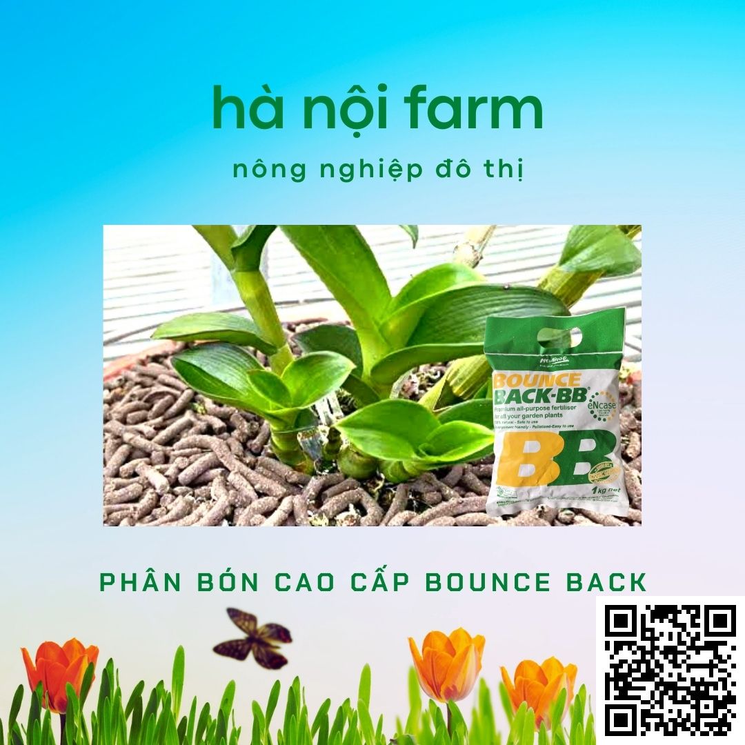 Phân hữu cơ BB, Phân gà úc ( Bounce back ) Australia. Gói 1kg