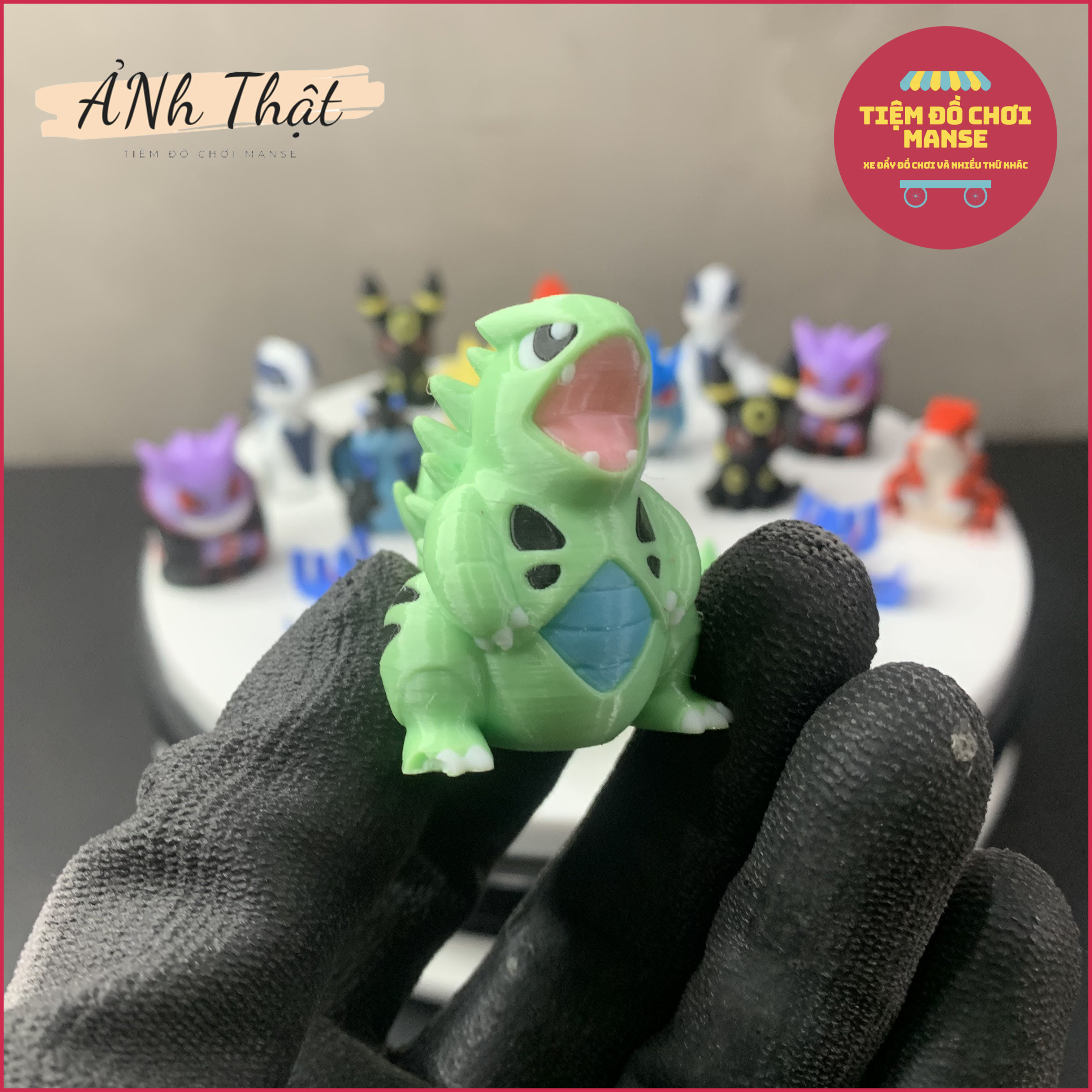 [ Thiết Kế Độc Quyền ] Mô hình Các Pokemon Mega Charizard, Charmander, Charmeleon, Tyranitar, Dragonite - Không Đụng Hàng