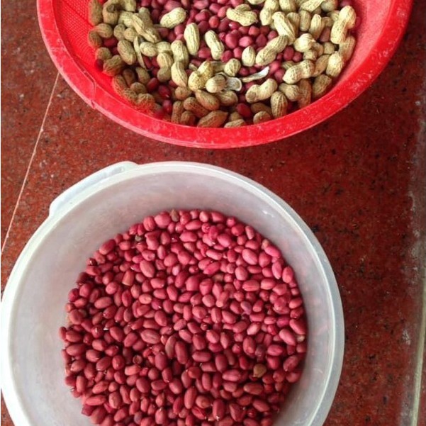 Lạc đỏ quê rang sẵn (1kg) Đại lý gạo Bà Tám