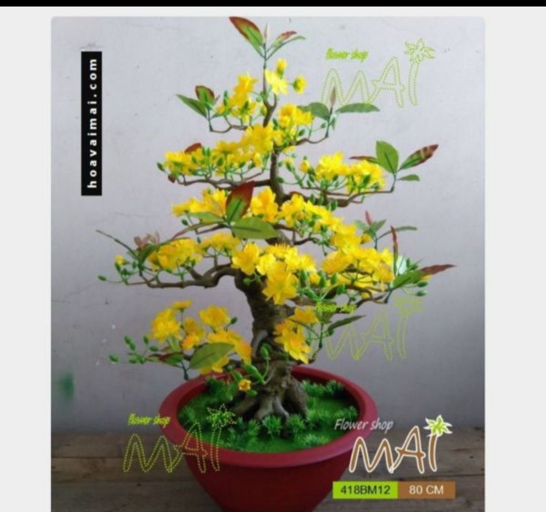 1Túi Hoa mai vàng trang trí tết
