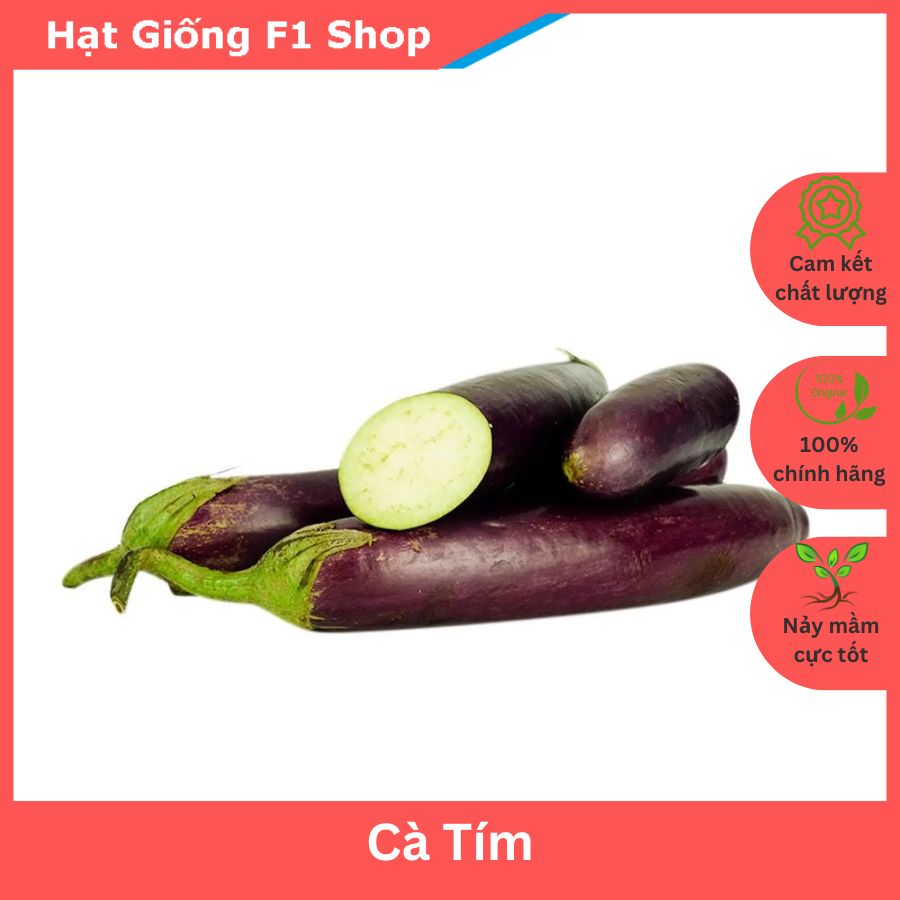 Hạt Giống Cà Tím Ít Hạt