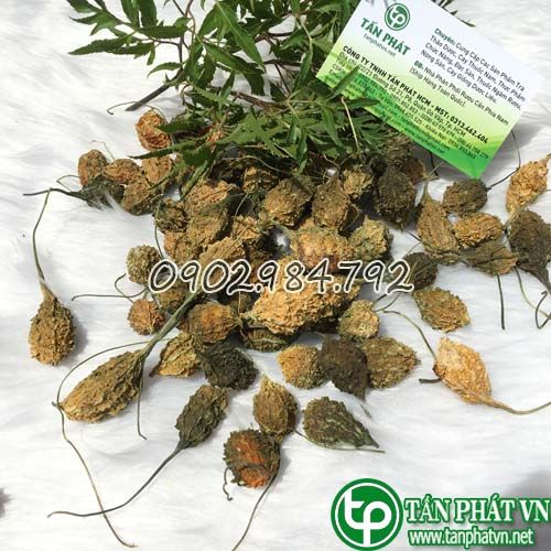 [Hàng loại 1] Mướp đắng rừng khô 200g - Tấn Phát - Tốt cho người bệnh tiểu đường