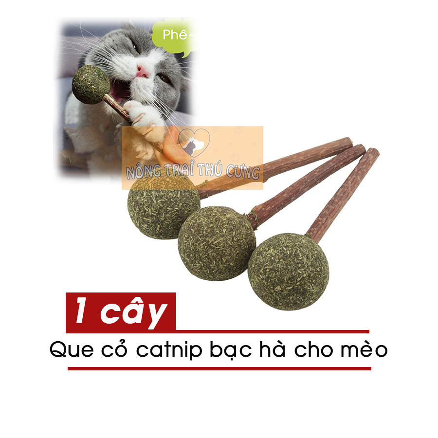Que kẹo cỏ bạc hà - que catnip cho mèo -