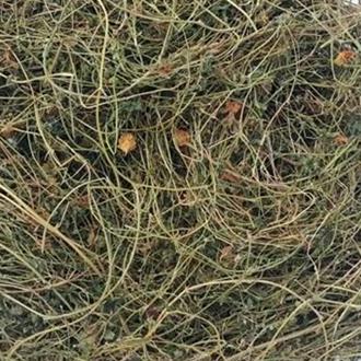 Dây khổ qua rừng 1kg
