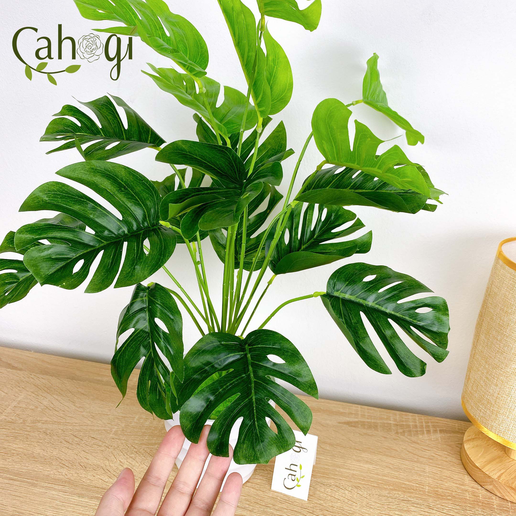 Cây nhựa PVC - Cây Lá Rùa DECOR cỡ lớn (Không Kèm Chậu)
