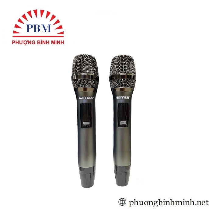 Micro karaOke GUINNESS M-810D