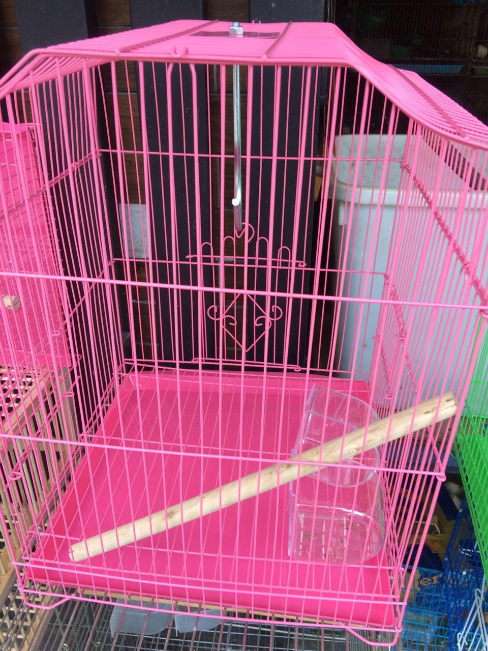 Lồng chim khoen vông sơn tỉnh điện