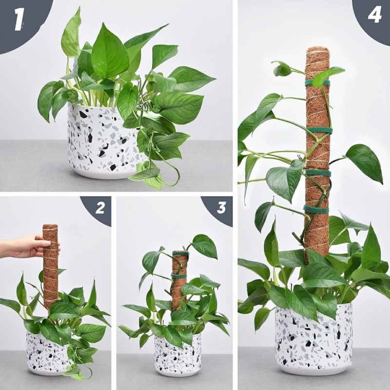 Trụ cột xơ dừa cho cây leo bám cột 30/40/50cm-HAUSE