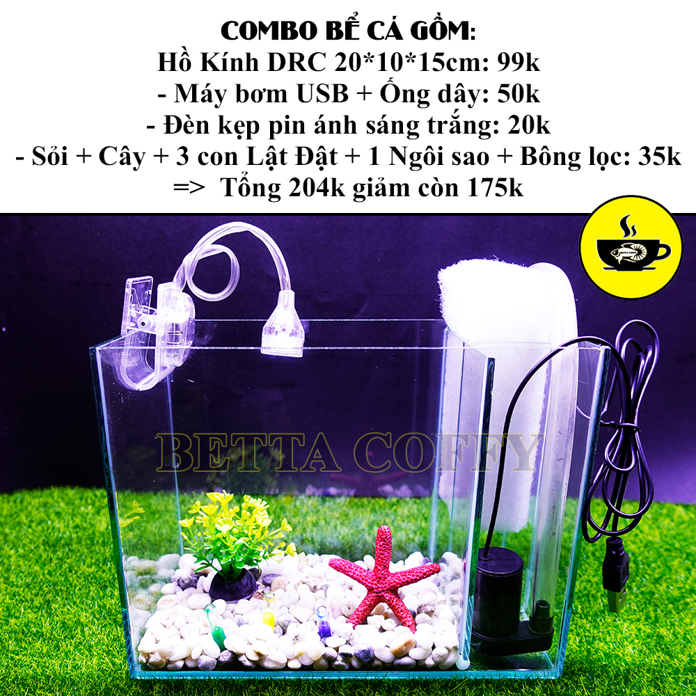 Combo Hồ Cá + Phụ Kiện Đèn Lọc Cây Sỏi Trang Trí Bể Cá Bằng Kính