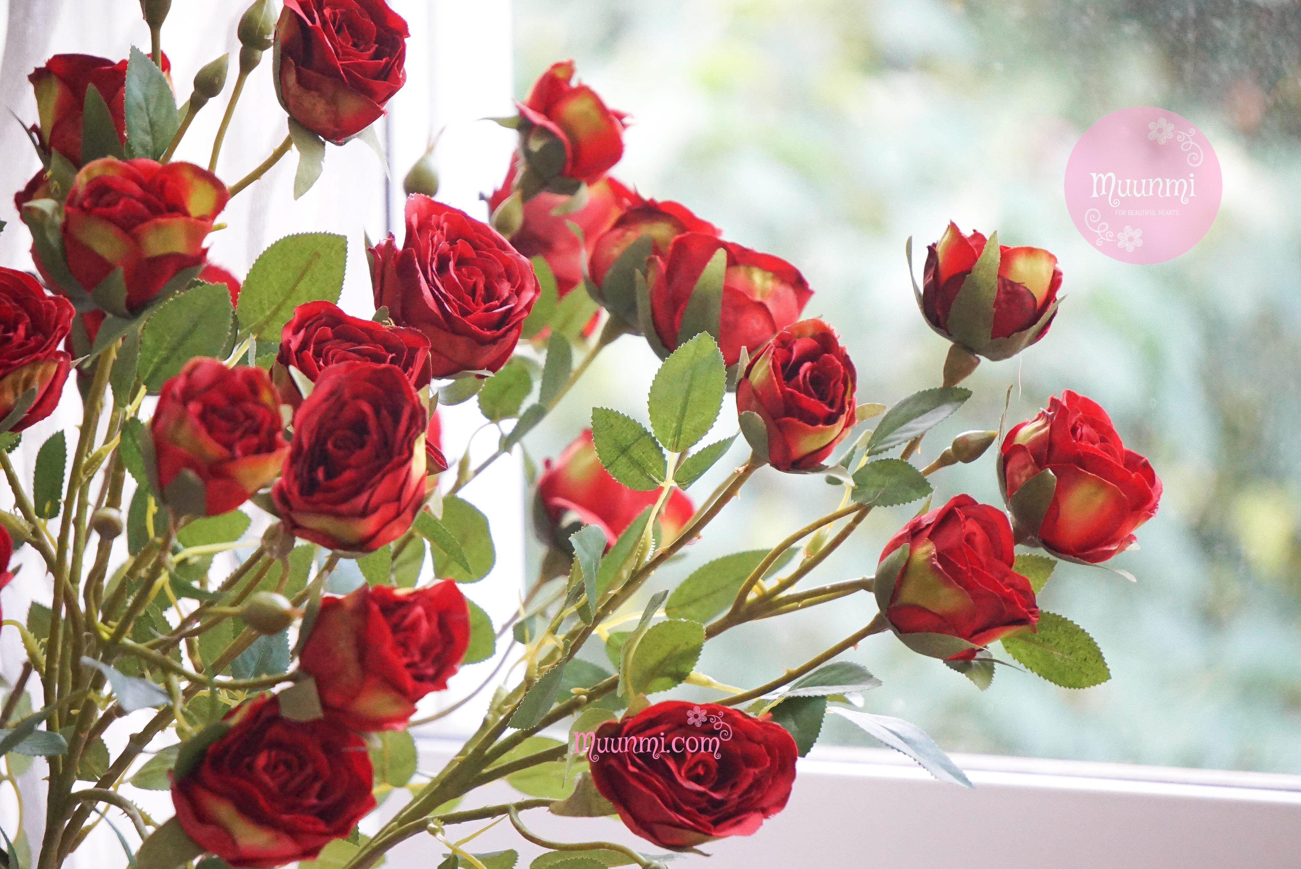 Hoa lụa 🌸 | Hoa Hồng Trăng đẹp nhẹ nhàng rất yêu