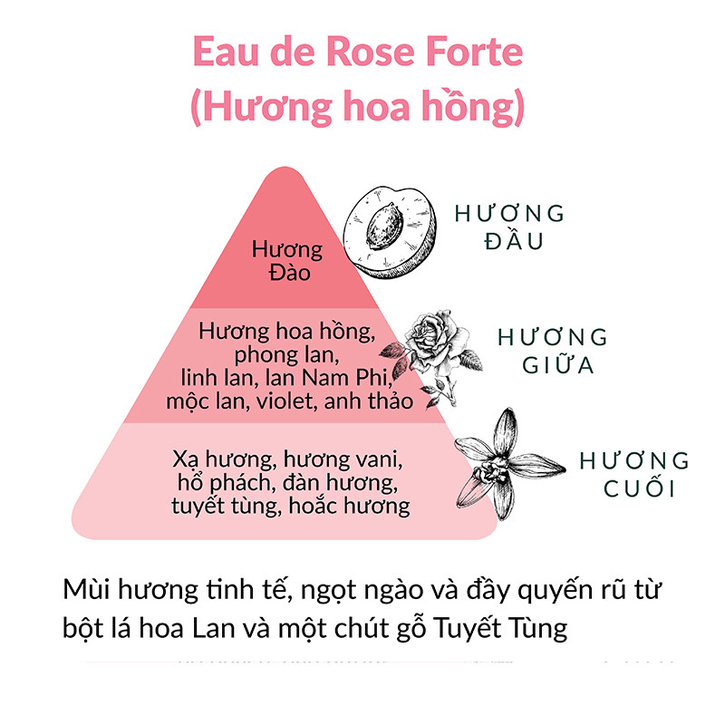 [DATE 01/2025] Nước hoa vùng kín YOJO LADY 5ml (Hàn)