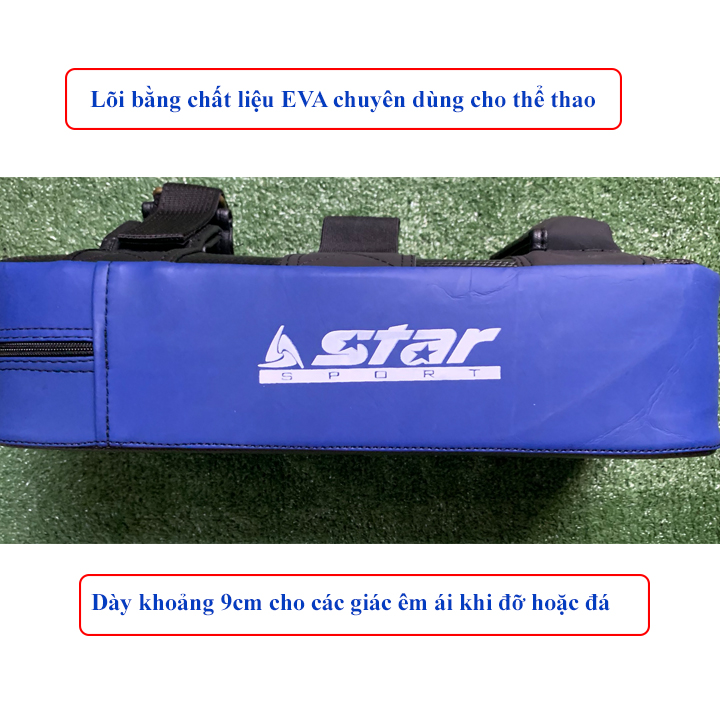 [HCM]Đích đỡ đích đấm tập võ thuật Vstar DV110 (1 cái)