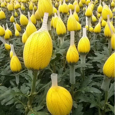 10 Mét Lưới Chụp Bông (Lưới Chụp Hoa) Lưới Đựng Phân Dê