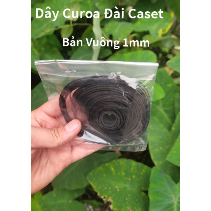 Dây Curoa Đài Cassette bản vuông