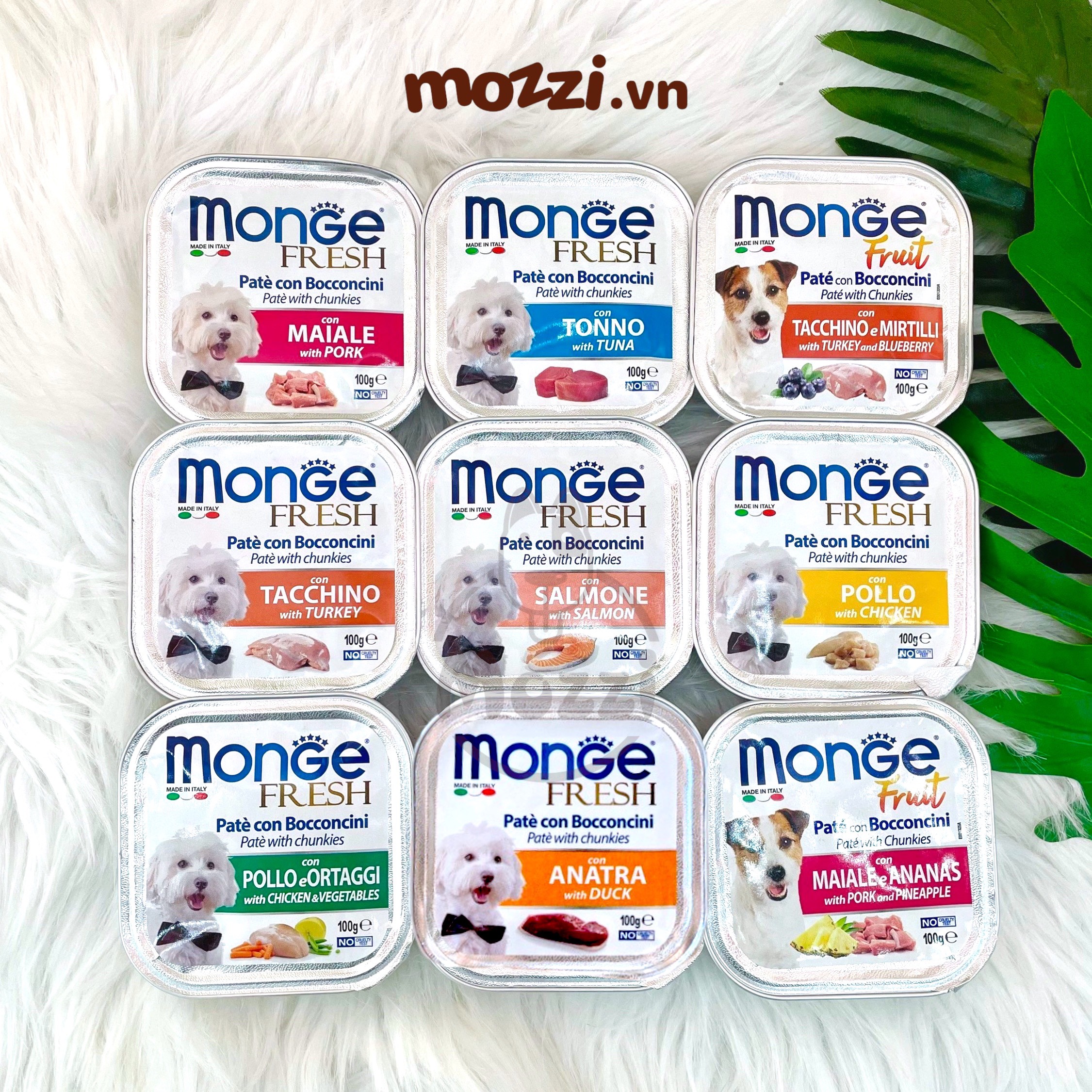 Pate cho chó Monge mix trái cây Hộp 100gr