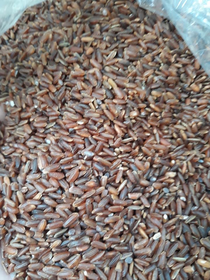 2kg gạo lứt rang chín