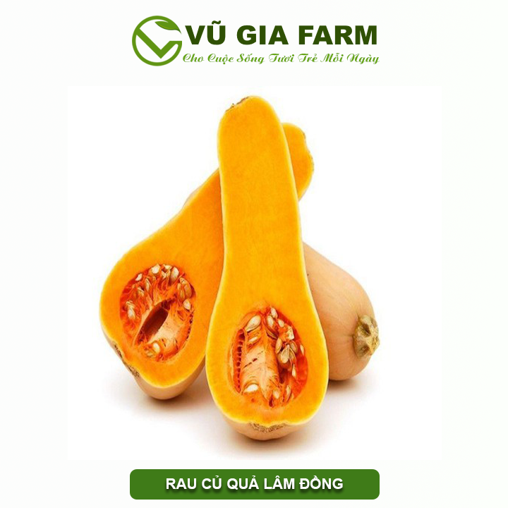 Bí Đỏ Mật Đức Trọng – Lâm Đồng