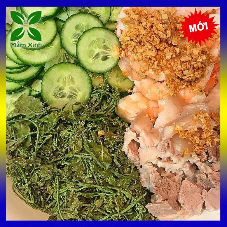 Cây Sầu Đâu Giống