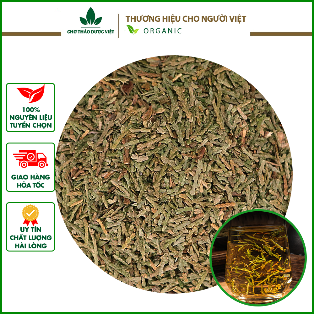 100gr Trắc Bách Diệp (Khô, xanh, sạch)