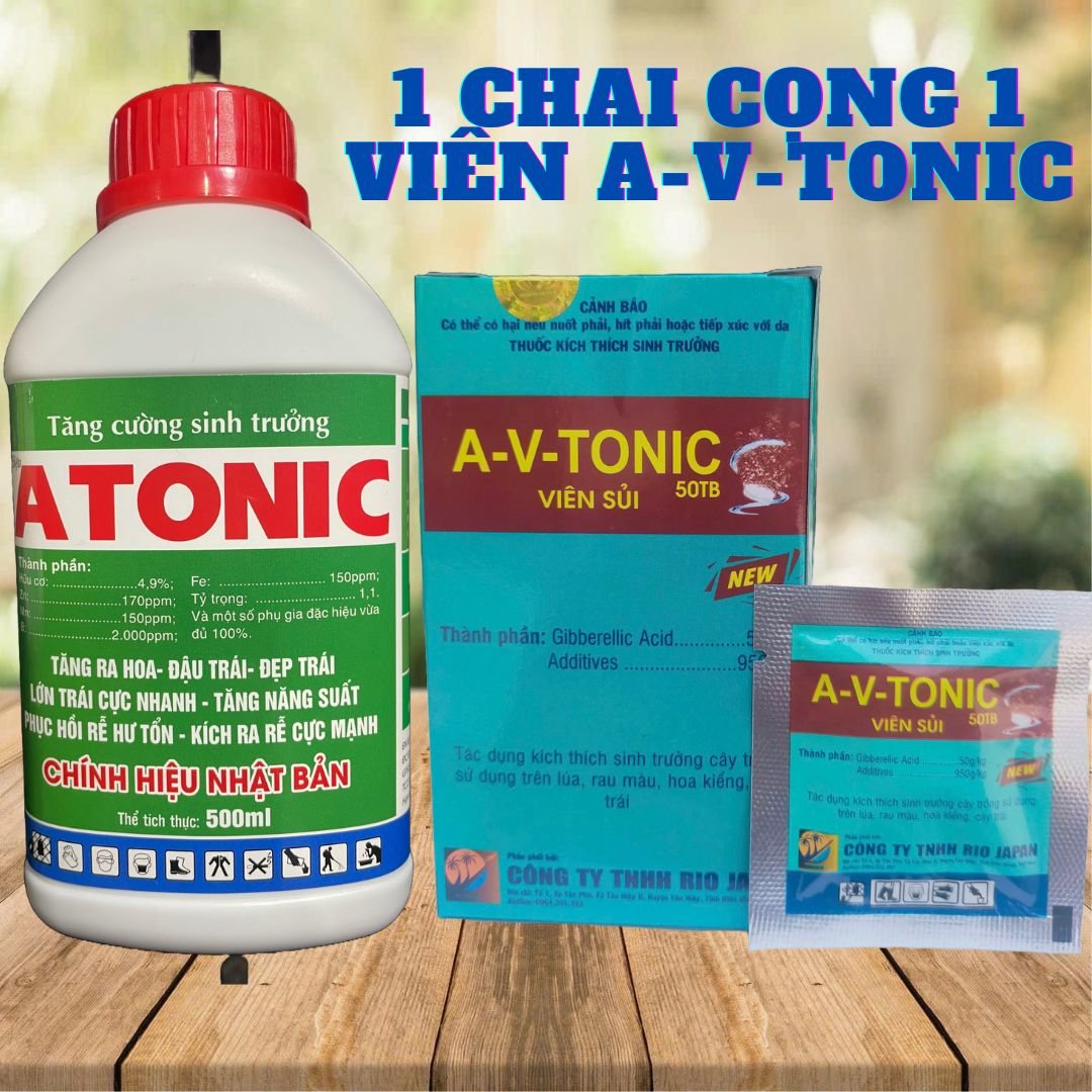 Atonic 500ml Powerful Root Stimulator Buy 1 Get 1 Free A-V-Tonic Effort Pills