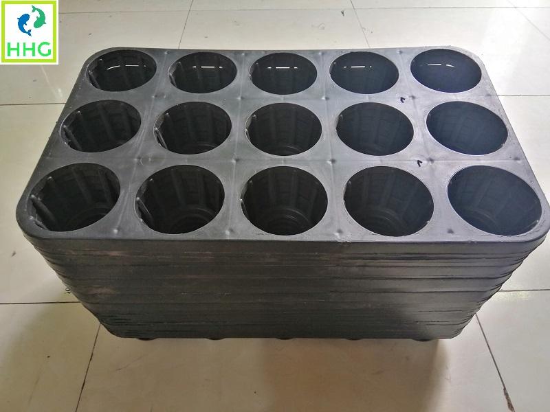20 KHAY NHỰA CỨNG 15 LỖ TRỒNG RAU ƯƠM MẦM
