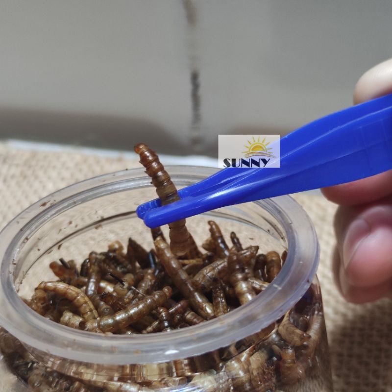 Kẹp Gắp Mini Đút Thức Ăn Thú Nhỏ