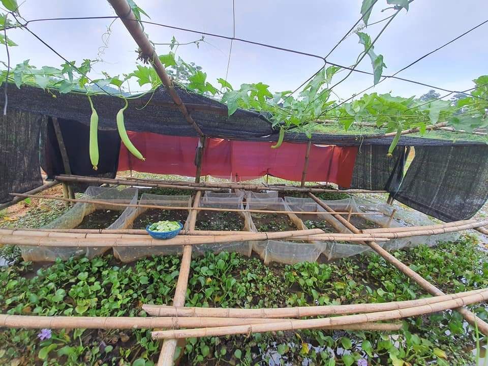 Tráng lưới nuôi ốc ếch cá mới nở 2x1x1