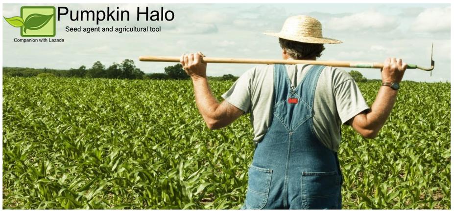 [HCM]HẠT GIỐNG CỎ THÁI LAN _  CỎ ĐẬU STYLO_GÓI 100GRAM.
