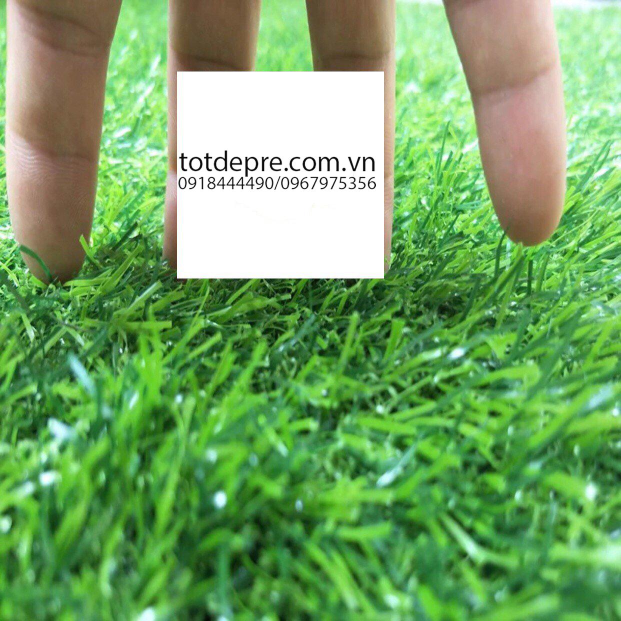 Thảm cỏ nhân tạo ngọn cao 2cm ( 1m x 1m)