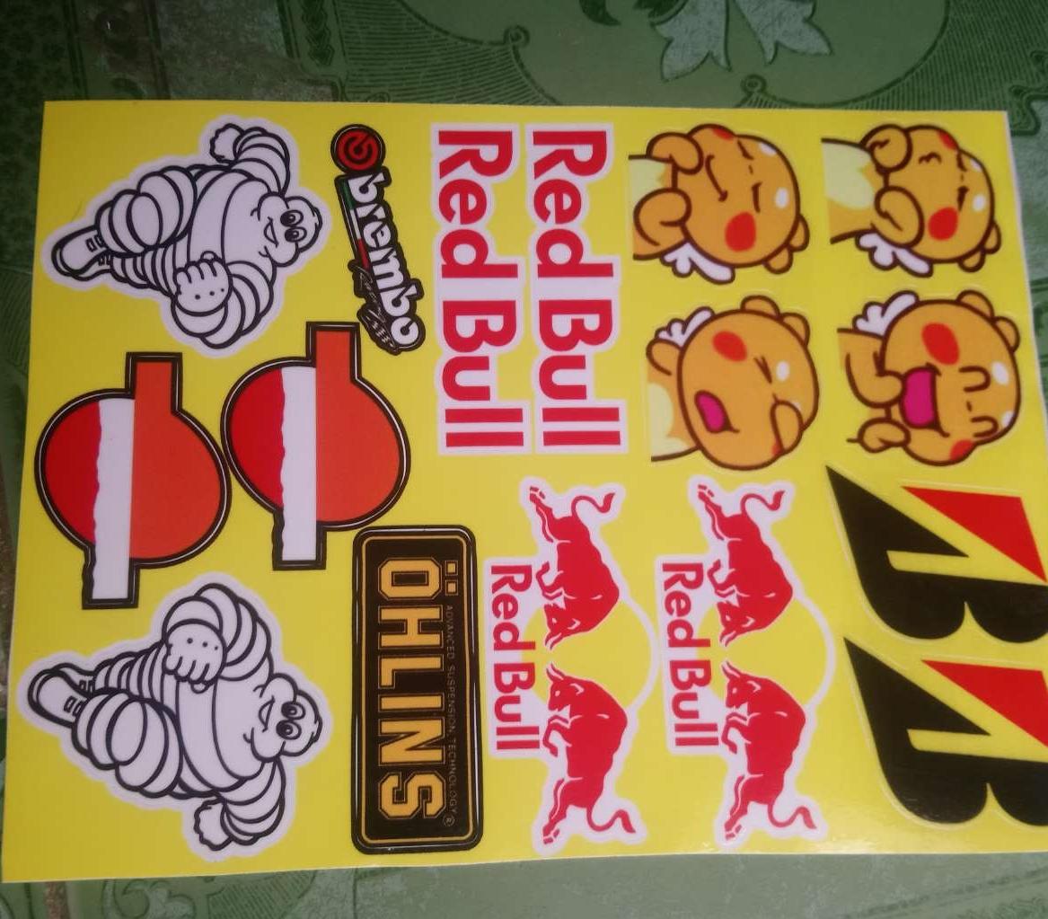 Tem logo khung longredbullmichelin....