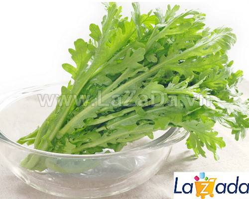10Gr Hạt Giống Cải Cúc Nếp (A3.403| G7*W55*M038)