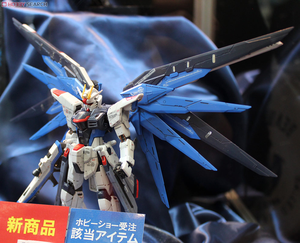 [RG] Mô hình Freedom Gundam