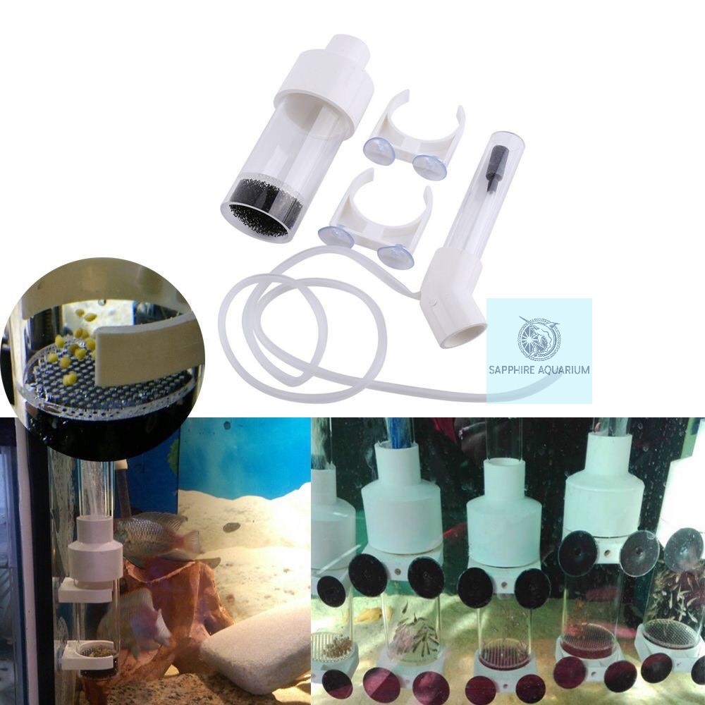 Lồng ấp trứng cá Cichlids Fish Egg Incubator Ø50