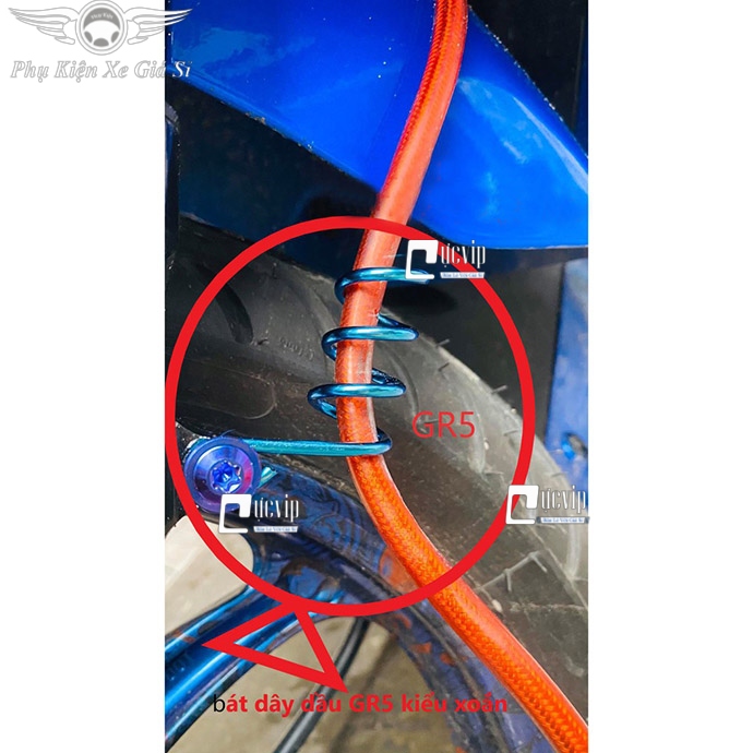 Pat Giữ Dây Dầu Lò Xo Titan Thật GR5 (Titan 100%) MS3349