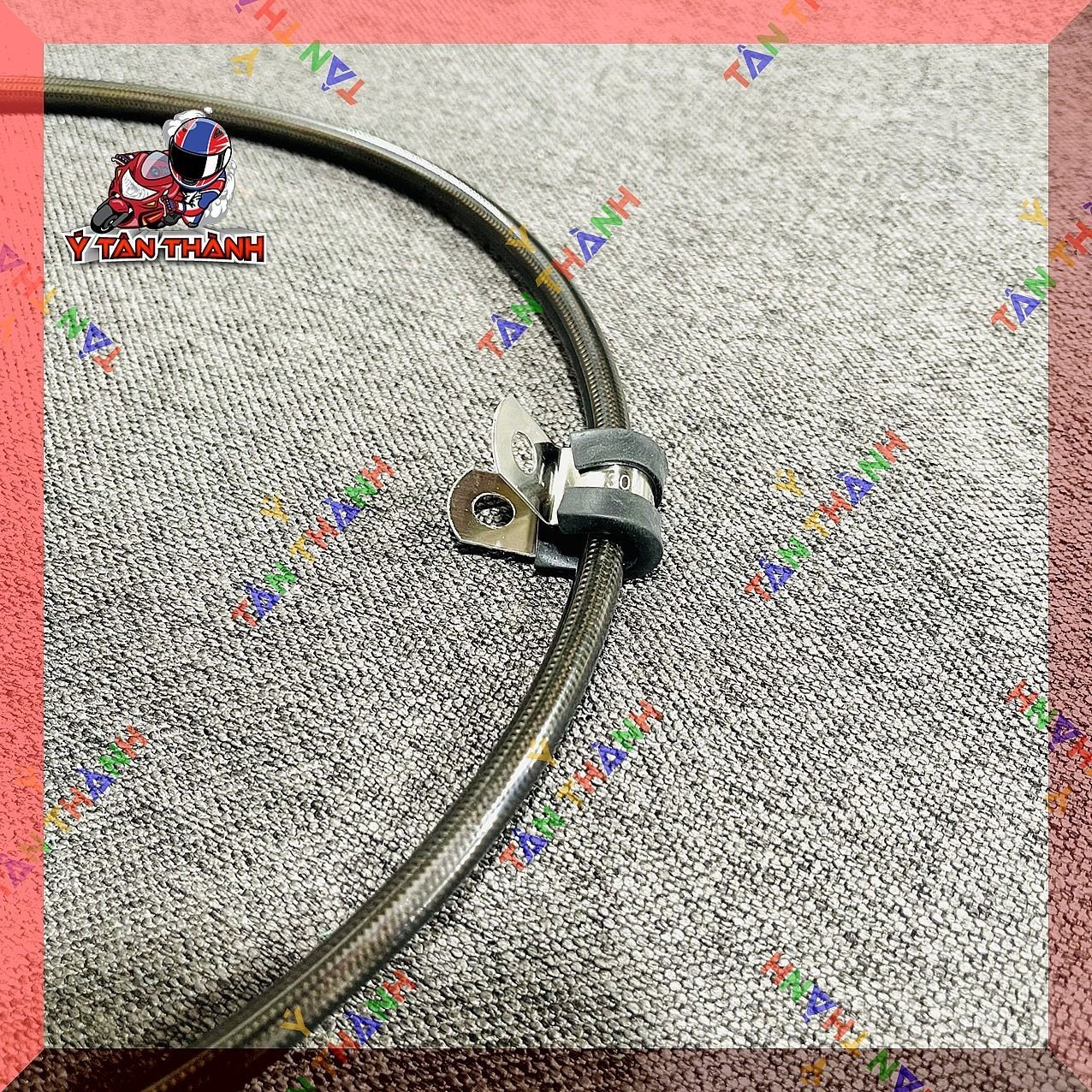 Pas kẹp dây dầu inox 304 MS01