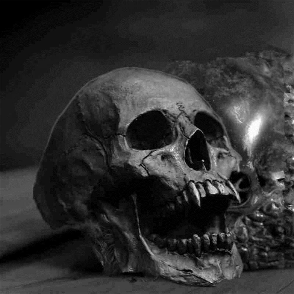 1 * Nhẫn Đầu Lâu Chiến Binh Biker Rock Kinh Dị Phong Cách Punk Gothic Cổ Điển