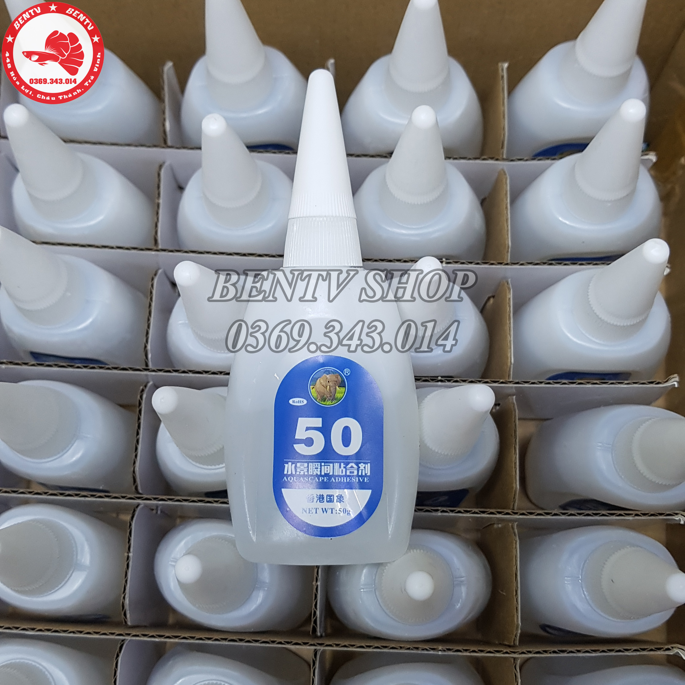 Keo Dán Rêu Ráy Lũa Thủy Sinh (50g)