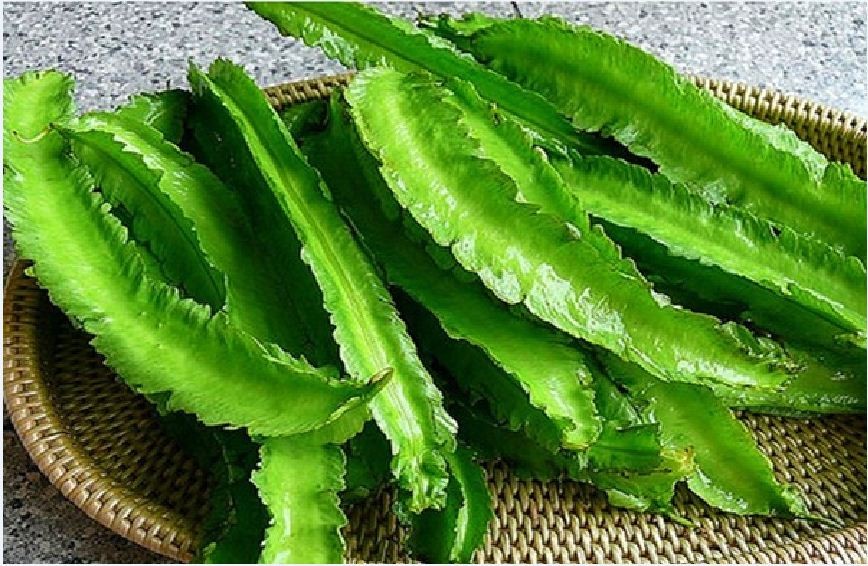 "Gói 5Gr=18Hạt " Hạt giống đậu rồng xanh