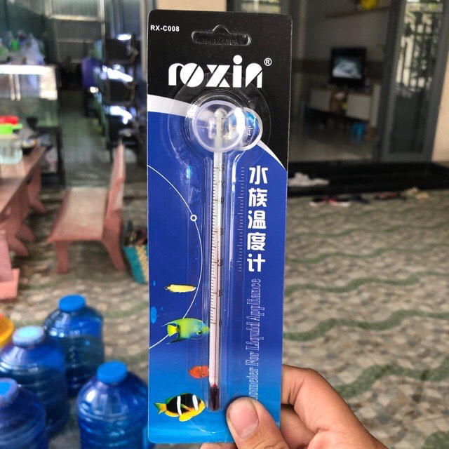 [NHIỆT ĐỘ HỒ CÁ] Nhiệt kế thủy tinh cho hồ cá cảnh