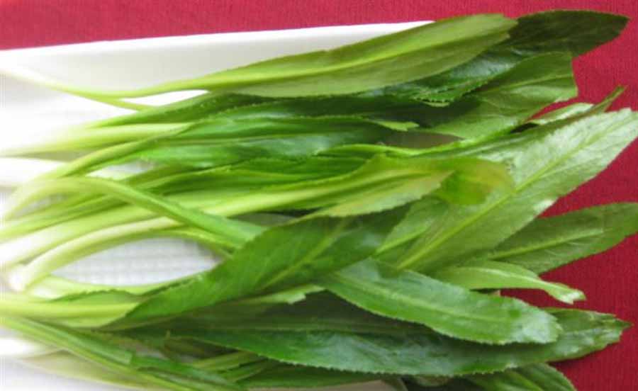 Hạt giống Mùi tàu (Ngò gai, Răng cưa) 5 gram
