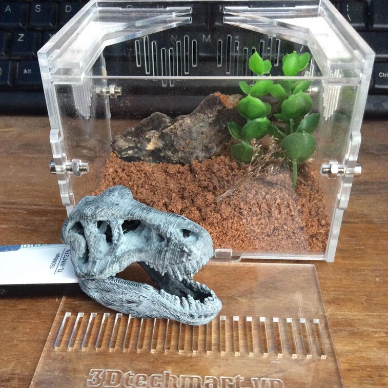 Hộp nuôi Nhện Sling, kích thước 10x8x8cm (tank sling)