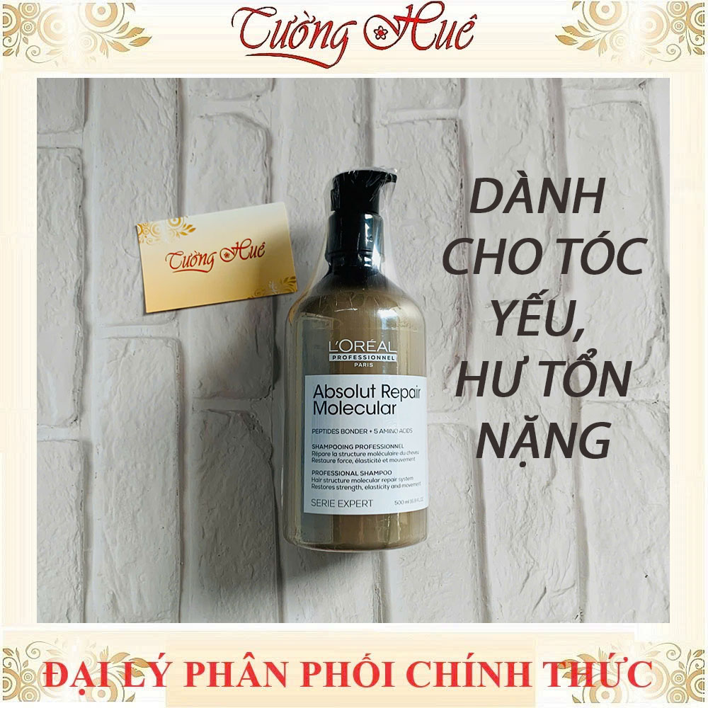 Dầu Gội Loreal Serie Expert Chăm Sóc Tóc Chuyên Sâu Shampoo - 500ml (Có lựa chọn)