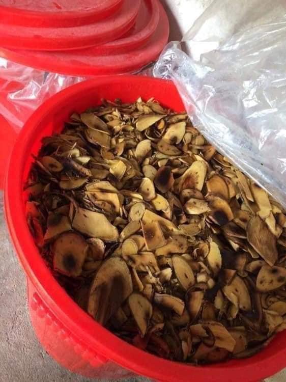 Thảo dược ủ chấy