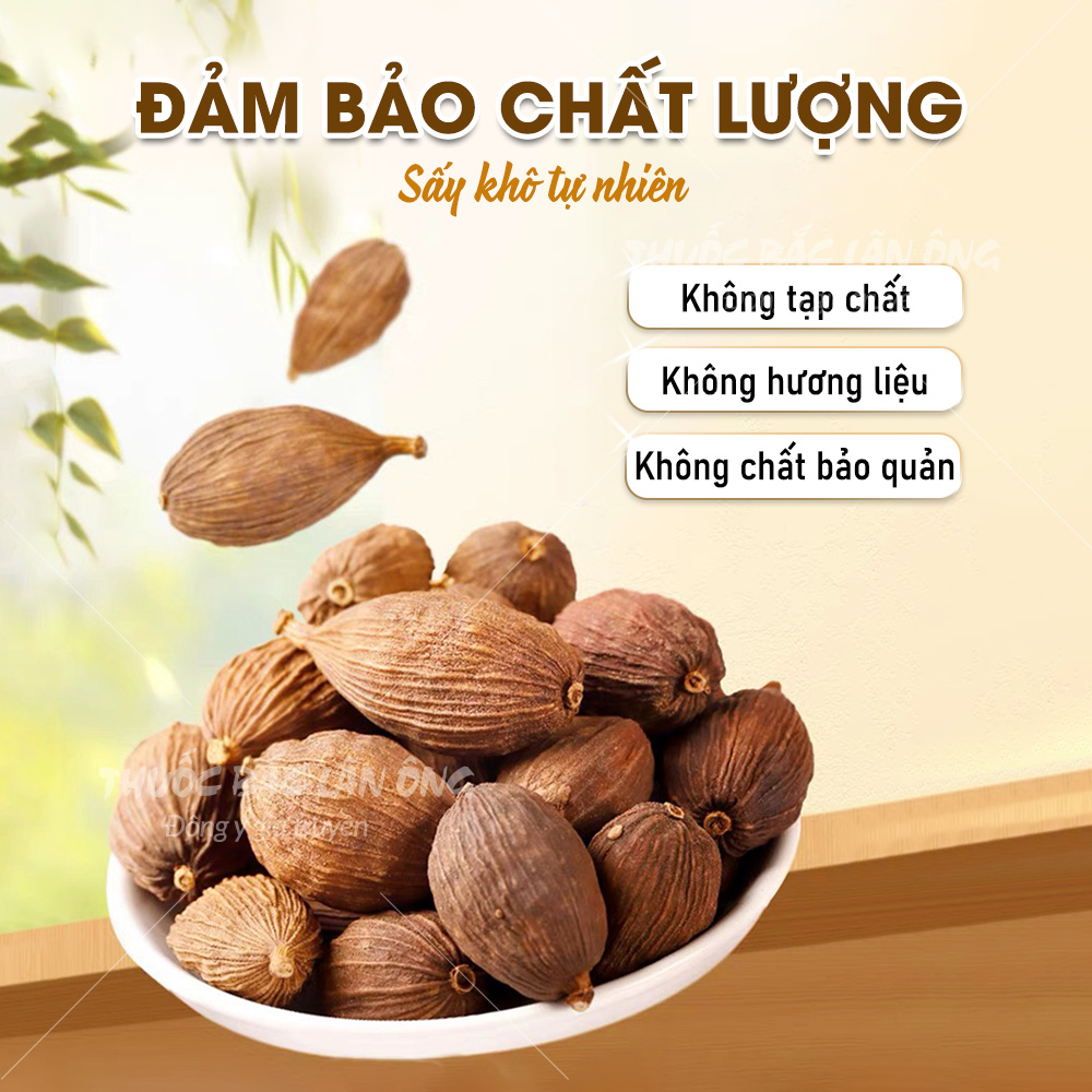 Thảo Quả 100g (Hàng Loại 1 Qủa To Chất Lượng)
